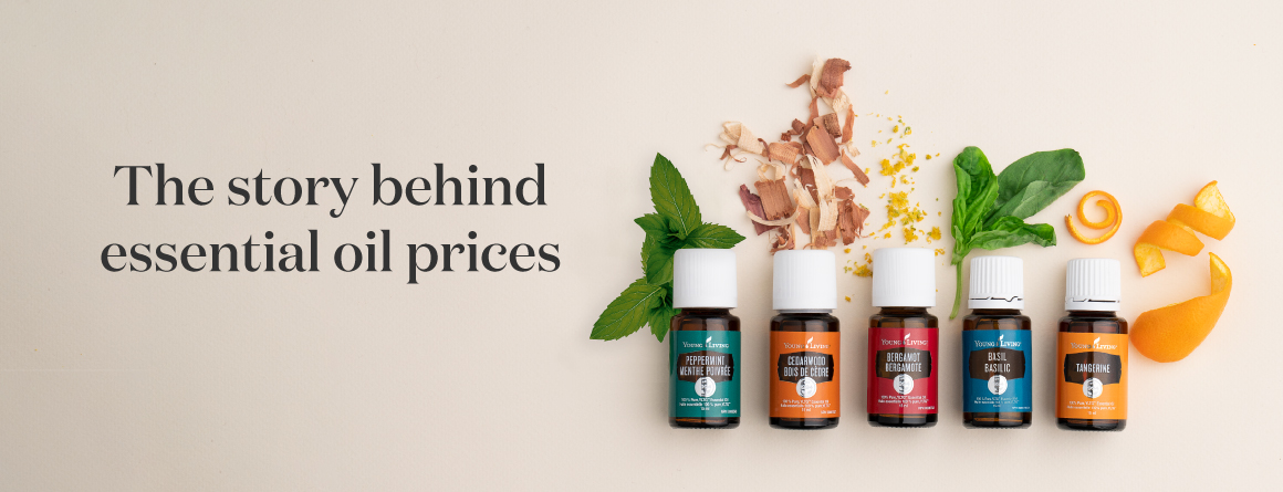 The story behind essential oil prices