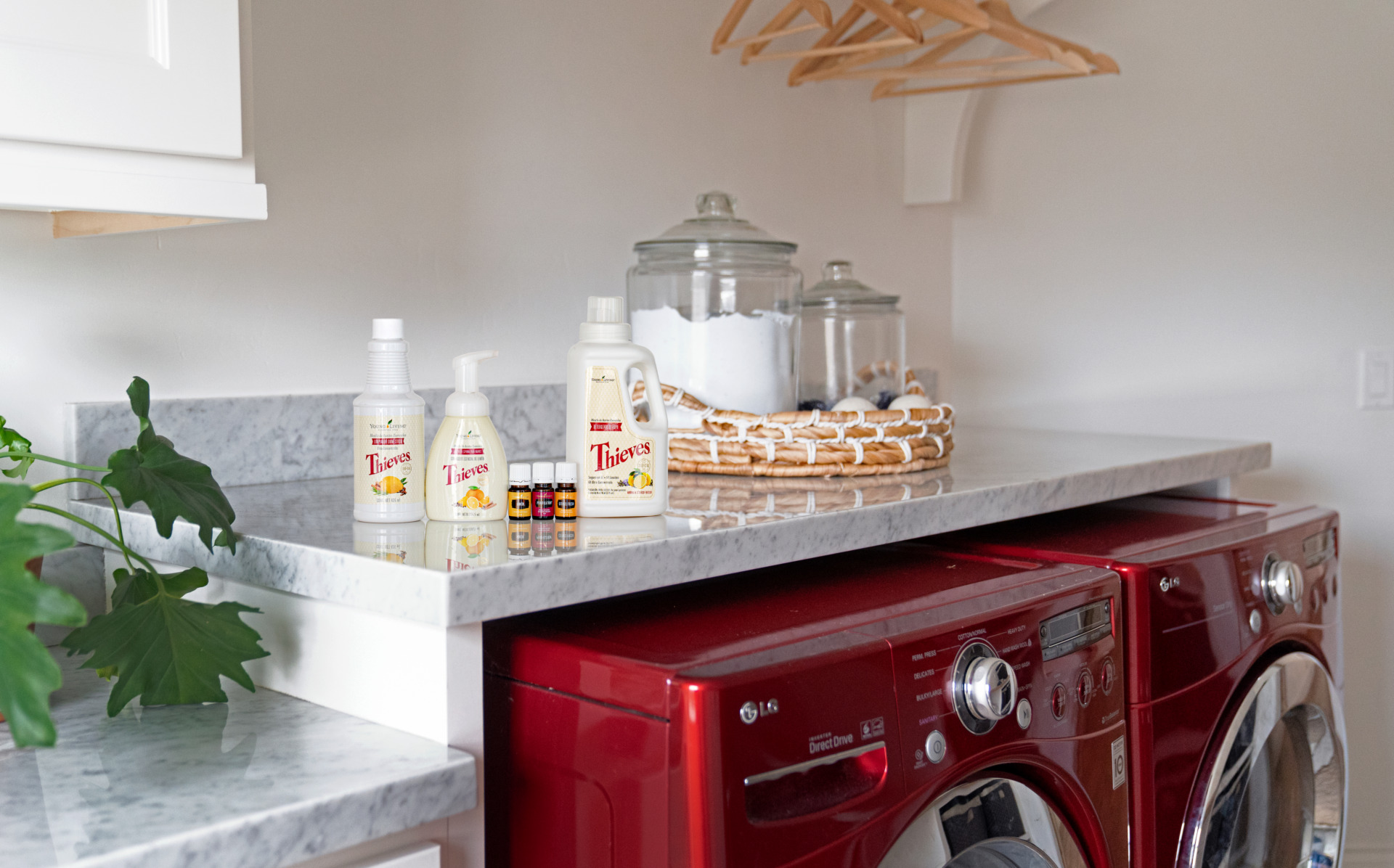 thieveslaundrysoap thievesfoaminghandsoap thieveshouseholdcleaner thievescleaner laundry