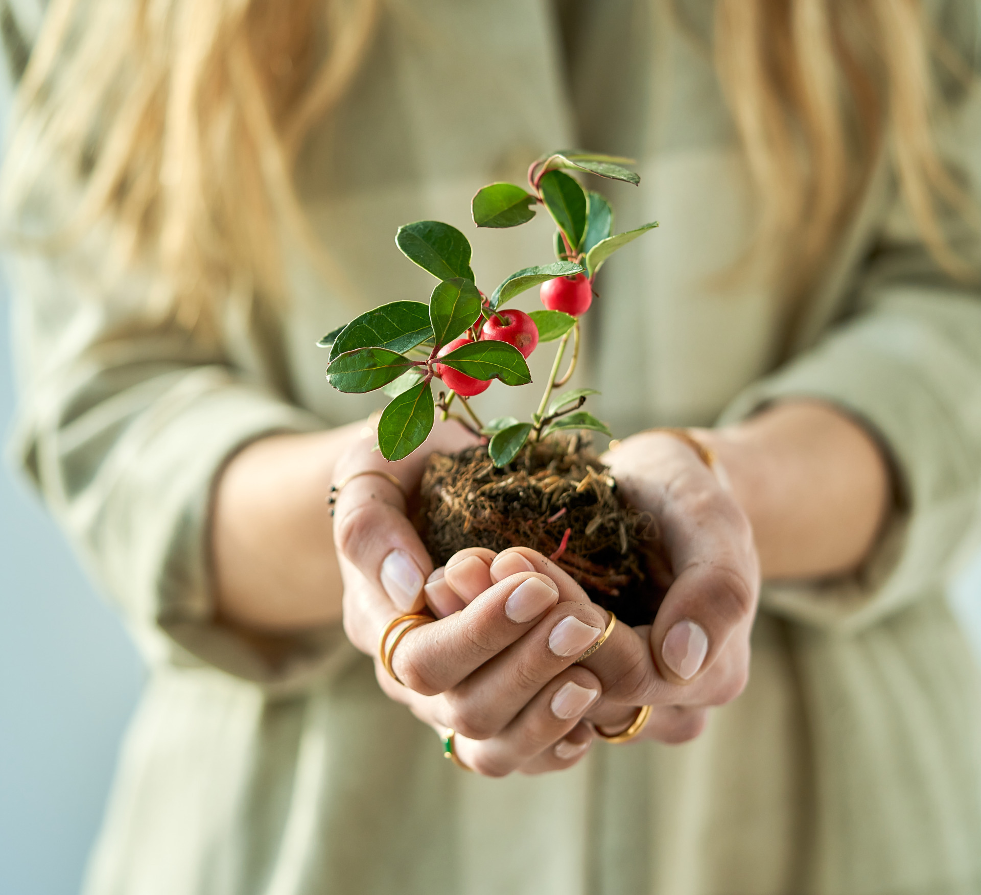 Woman holding plant in her hands - Young Living Lavender Life Blog Canada 