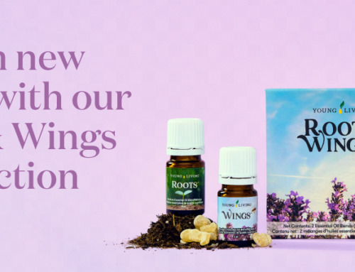 Reach new heights with our Roots & Wings™ Set