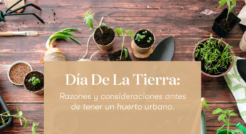 Día de la Tierra: Regresa a lo esencial, conecta con la naturaleza y consume lo que tiene para darte