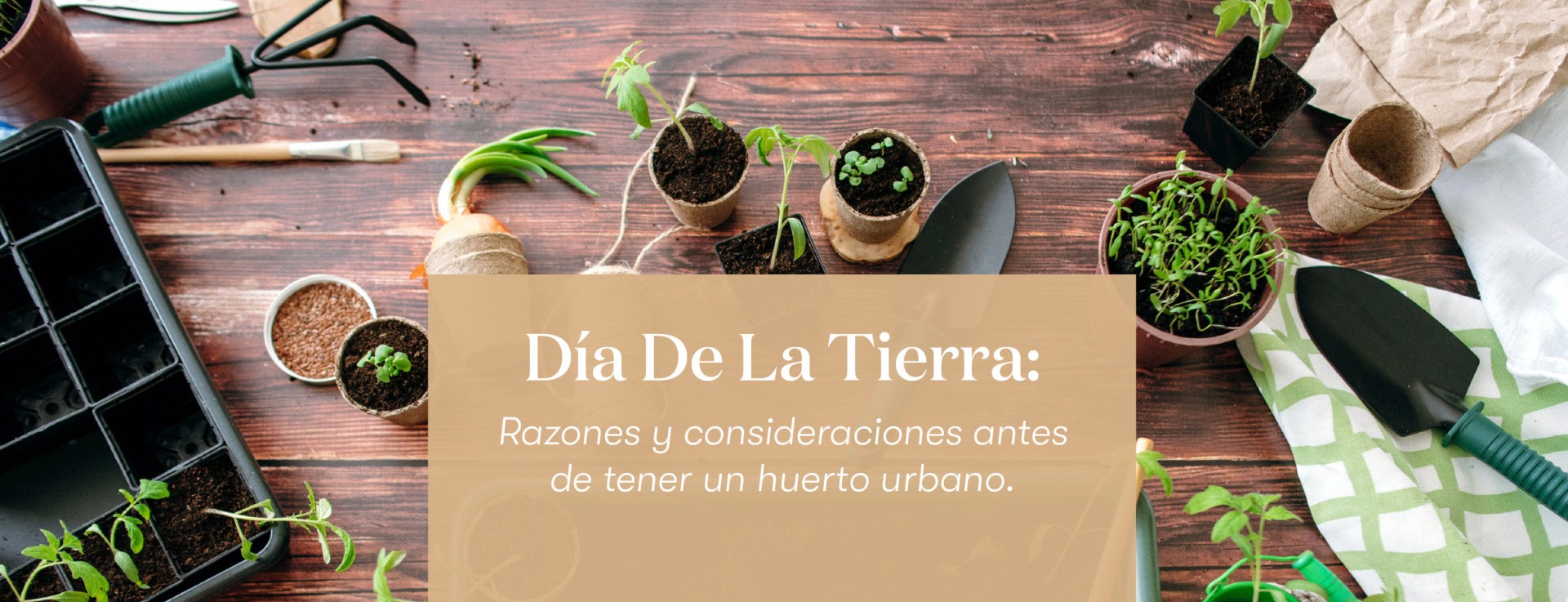 Día de la Tierra: Regresa a lo esencial, conecta con la naturaleza y consume lo que tiene para darte