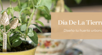 Día de la Tierra: Regresa a lo esencial, conecta con la naturaleza y consume lo que tiene para darte