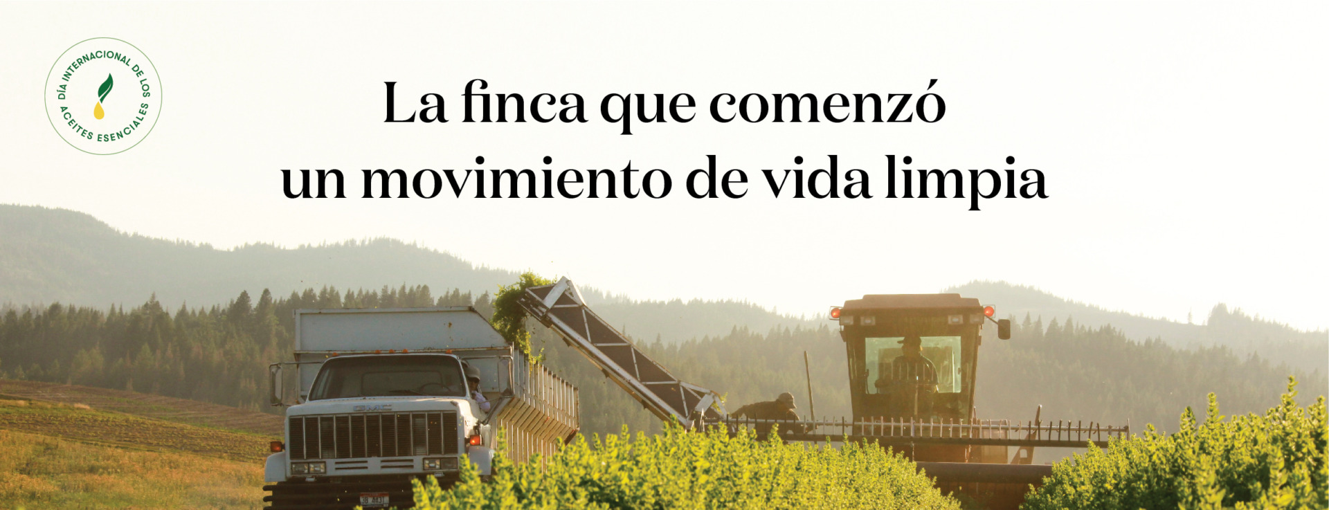 Finca y Destilería de Lavanda St. Maries: La finca donde todo comenzó