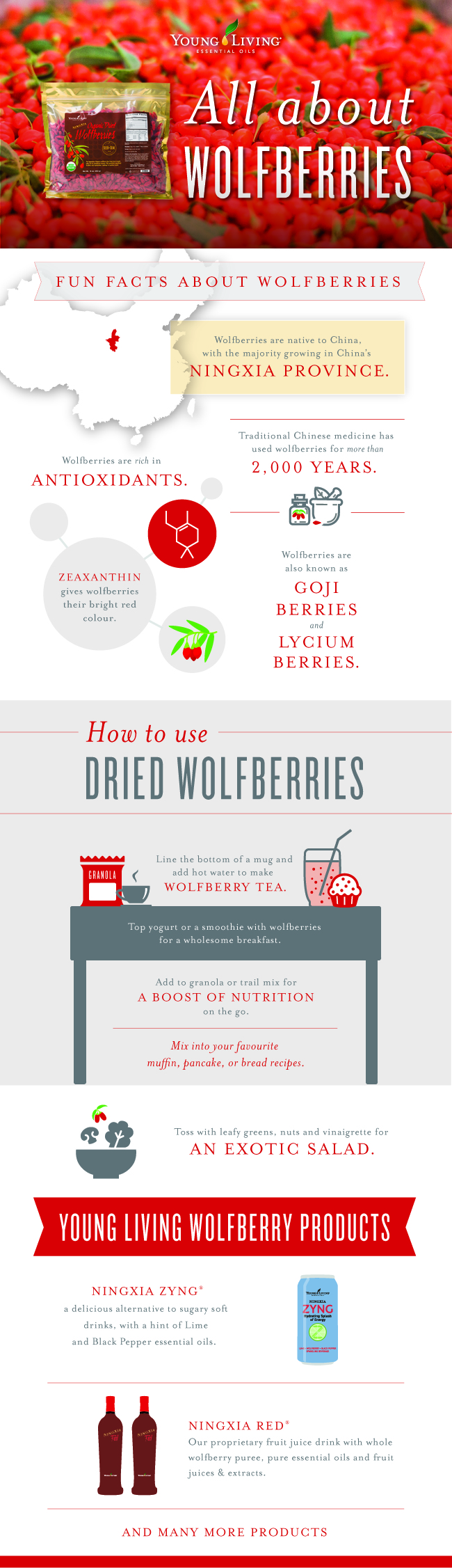 How to use Goji Berries / wolfberries infographic