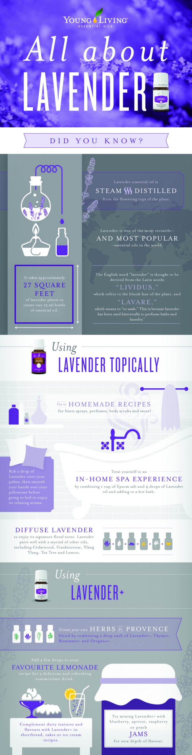 All About Lavender Essential Oil