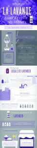 Graphique « Tout savoir sur l’huile essentielle Lavender »
