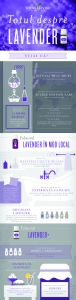 Infograficul Totul despre uleiul esențial Lavender