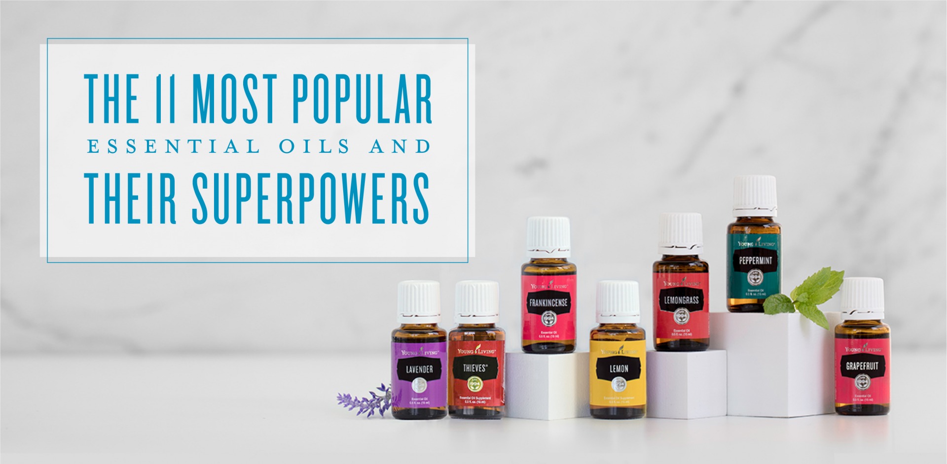 The 11 most popular essential oils and their superpowers - Young Living