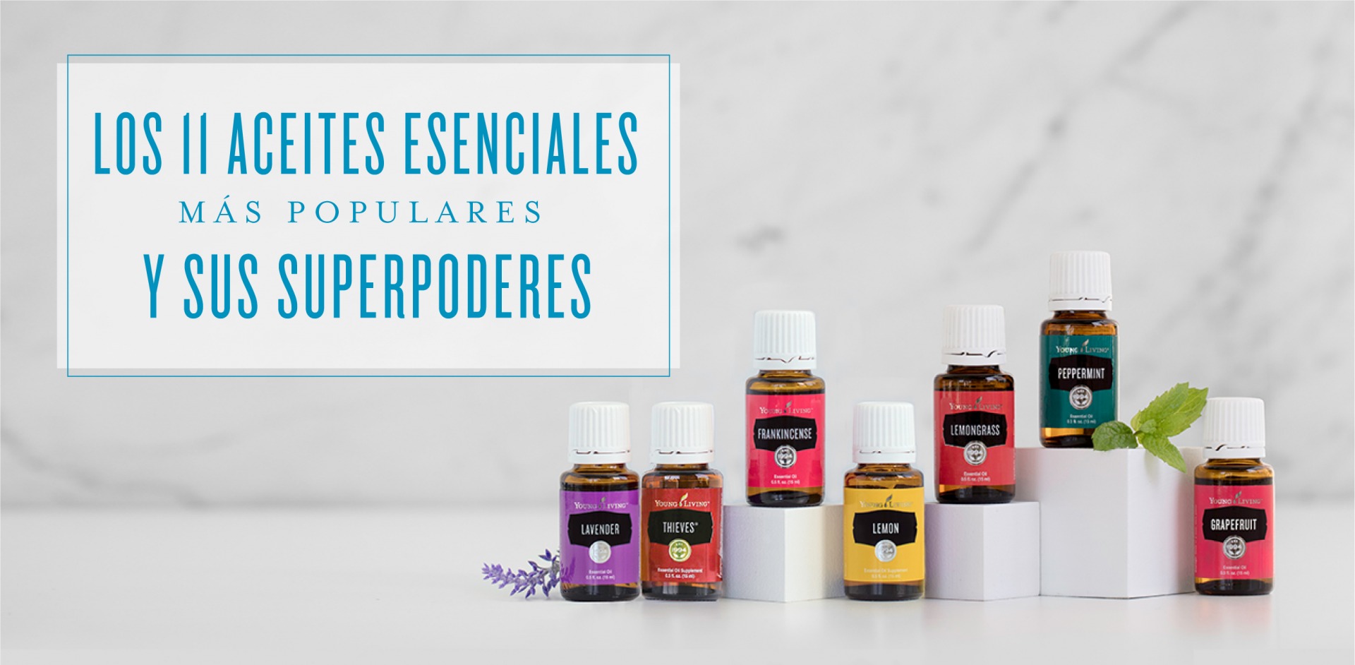 gráfico carne de vaca Nuestra compañía Los 11 aceites esenciales más populares y sus superpoderes - Young Living Blog gráfico carne de vaca Nuestra compañía Los 11 aceites esenciales más populares y sus superpoderes - Young Living Blog