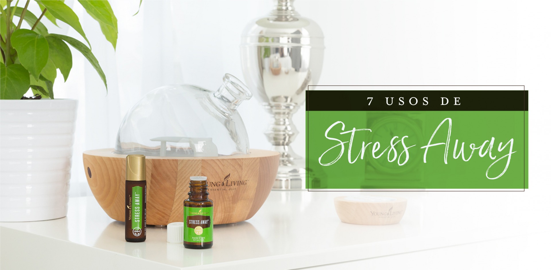 7 usos de Stress Away Young Living Blog