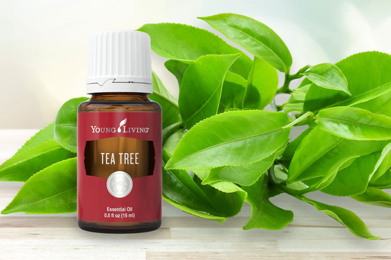Эфирное масло чайного дерева (Tea Tree)