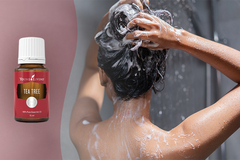 Tea Tree essential oil with woman shampooing her hair
