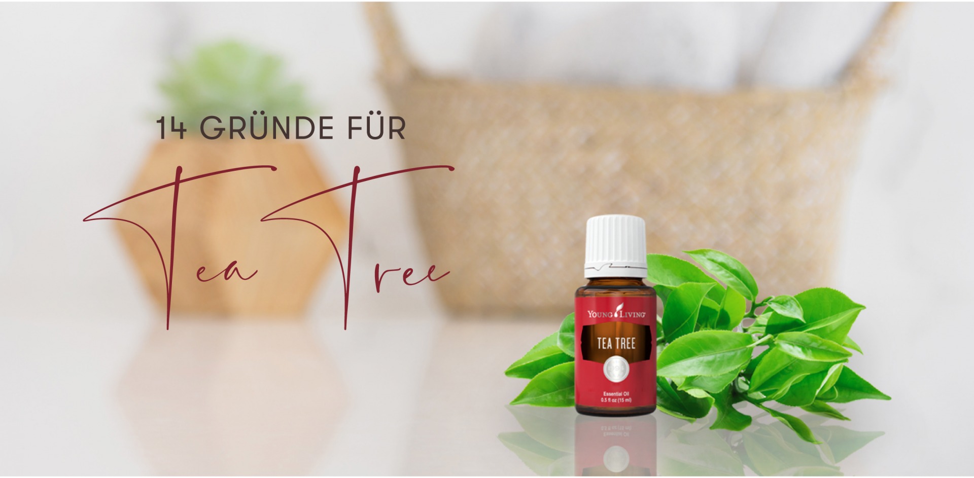 14 Gründe für Tea Tree! - Young Living Blog