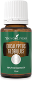 Eukalytus Globolus has a fresh, intense fragrance. It contains a high proportion of eucalyptol, which is an essential ingredient in many mouthwashes. Externally, it is often used to support the respiratory system and soothe muscles after exercise.