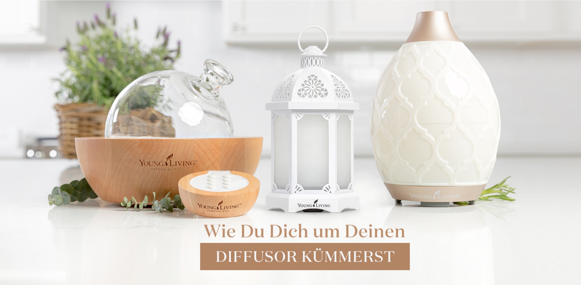 Aria Diffuser Young Living mit 2 ätherischen Ölen von Young Living