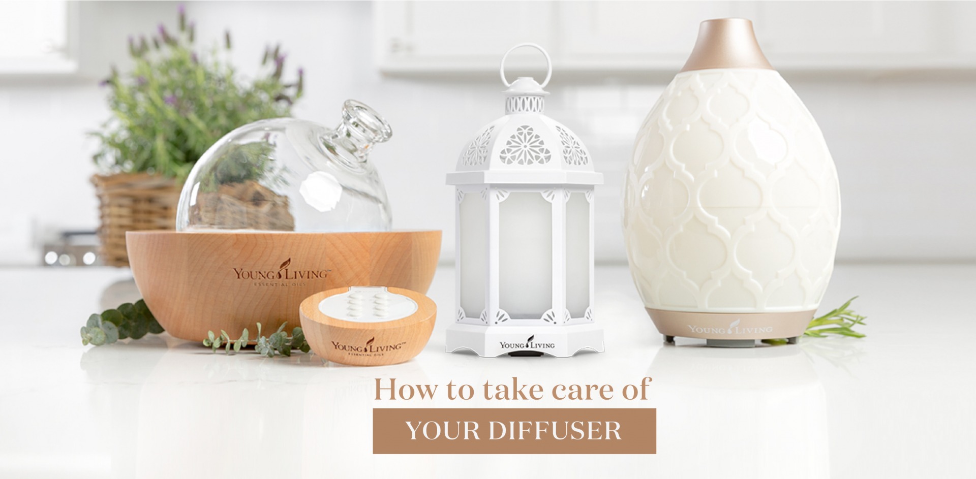 Yl diffuser discount