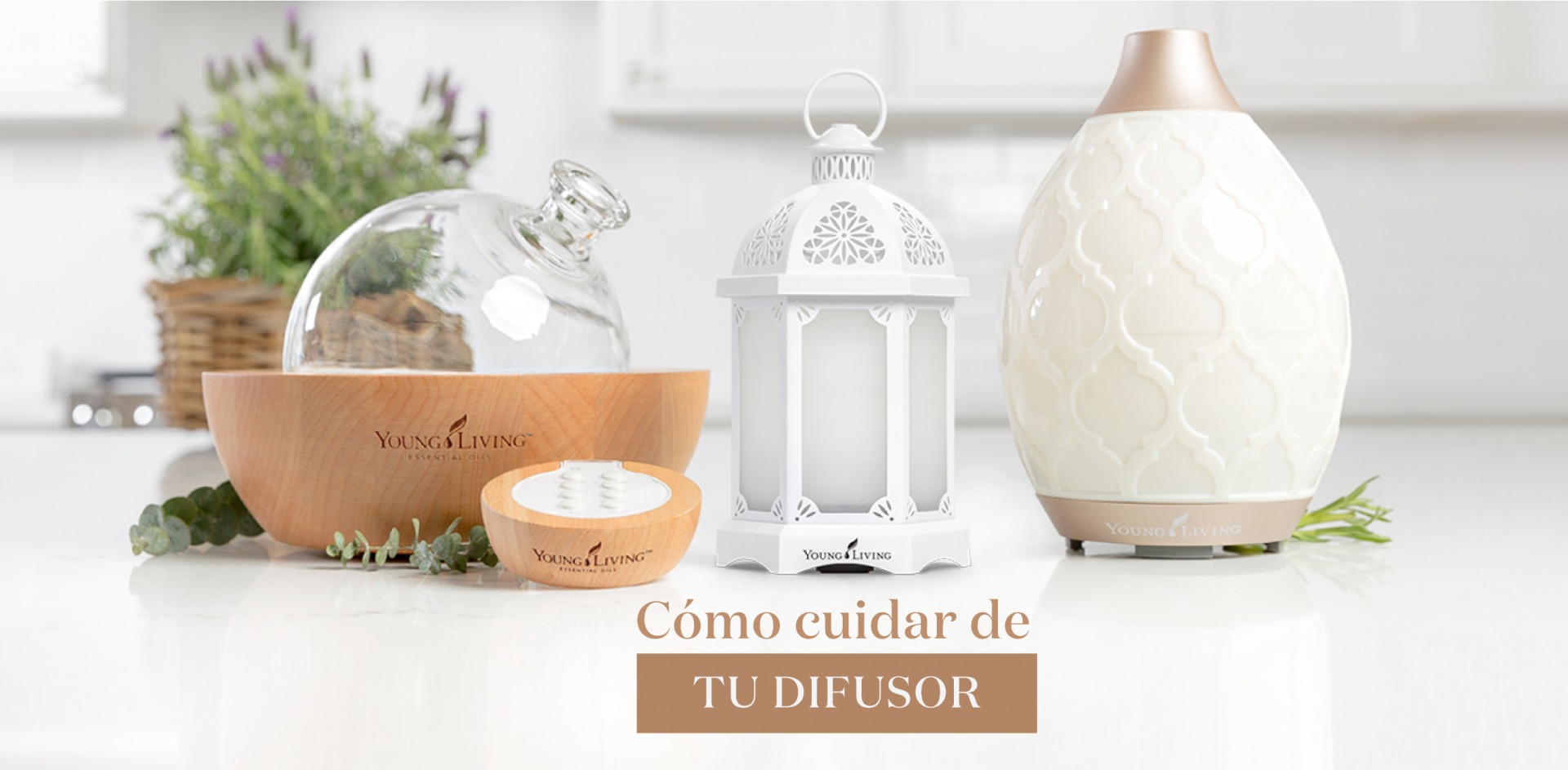 Cómo cuidar de tu difusor - Young Living Blog