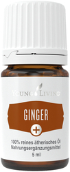 Ginger Plus 5ml Essential Oil Bottle