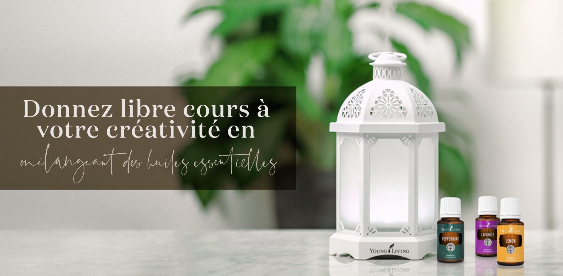 Je fais mes propres mélanges d'huiles essentielles (conseils pour  débutants) - Blog Young Living