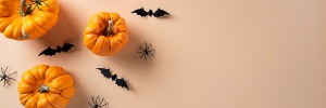 Pumpkins with decorative spiders and bats