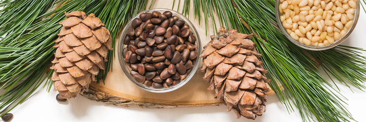 Cedarwood and Pine Cones