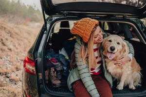 Golden retriever sat with owner in an open car boot