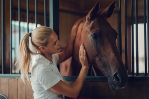 Brown horse looking over stable door with owner