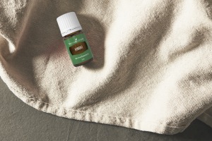 Hinoki Essential Oil