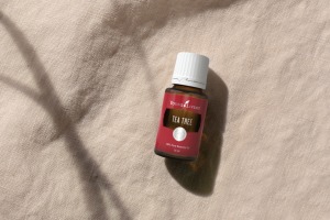 Eterisk tea tree-olja