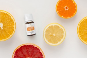 „Young Living Citrus Fresh®+“ eterinių aliejų mišinys