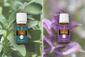 Sage and Clary Sage Essential Oils