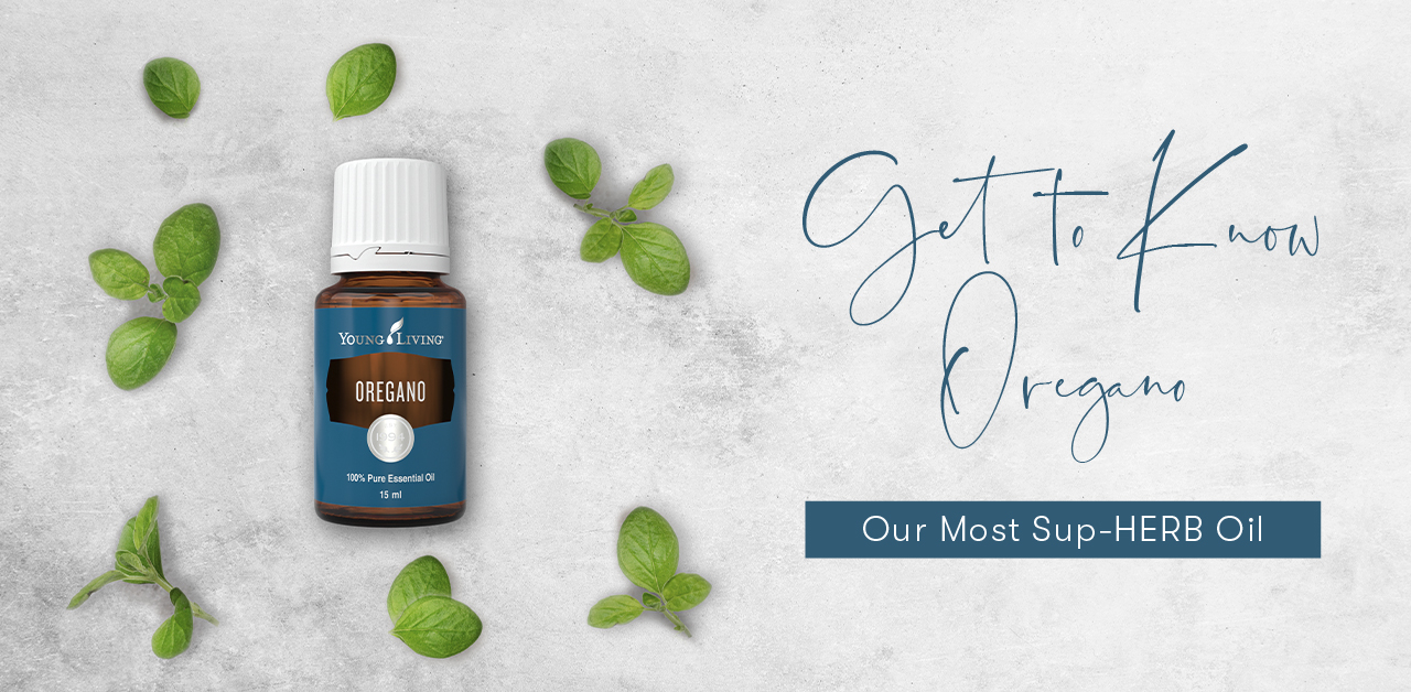 Oregano Essential Oil Benefits & Uses - Young Living Blog