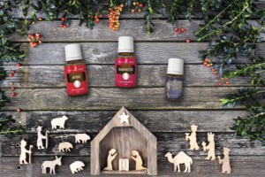 Egyptian Gold, Frankincense & Myrrh essential oils with wooden Nativity scene