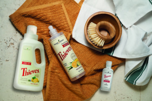 Thieves® Laundry Soap, Hand Purifier och Washing Up Liquid