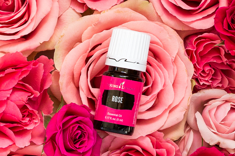 Rose essential oil with rose flower