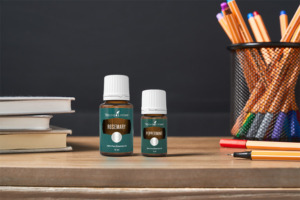 Rosmarin und Pfefferminze ätherisches Öl auf Schreibtisch