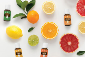 De eteriska oljorna Lemon (citron), Lime (lime), Tangerine (tangerin) och Young Living Citrus Fresh® med citrusfrukter