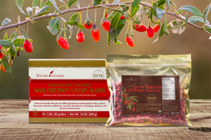 Les barres chocolatées aux baies de goji Chocolate-Coated Wolfberry Crisp Bars et les baies de goji séchées Ningxia Dried Wolfberries