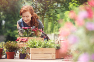 Zufrieden aussehende Frau bei der Gartenarbeit mit frischen Blumen