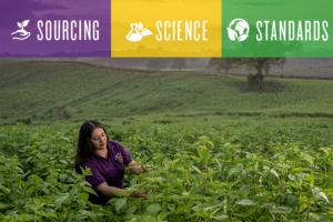 Sourcing, Science & Standards pillars with woman working in field