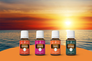 Les huiles essentielles de cèdre de l’Atlas, de géranium rosat, d’orange et de menthe poivrée avec un coucher de soleil