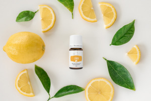 Lemon+ ätherisches Öl der Pluslinie von Young Living und frische Zitronen und Zitronenscheiben