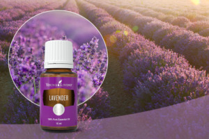 Ätherisches Lavendelöl mit Lavendelfeld