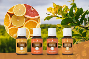 Lemon, Orange, Tangerine, and Young Living Citrus Fresh® essential oils