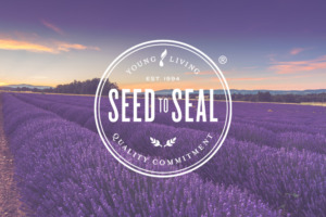 Lavendelfeld mit Young Living Seed to Seal® Qualitätsversprechen Logo