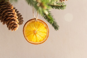 Image of dried orange slice ornament hanging from branch.