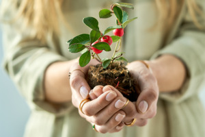 Imagem de uma mulher com uma planta na mão