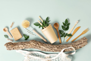 Image of bamboo products (cutlery, cups, cotton buds, scrubbing brushes and more)