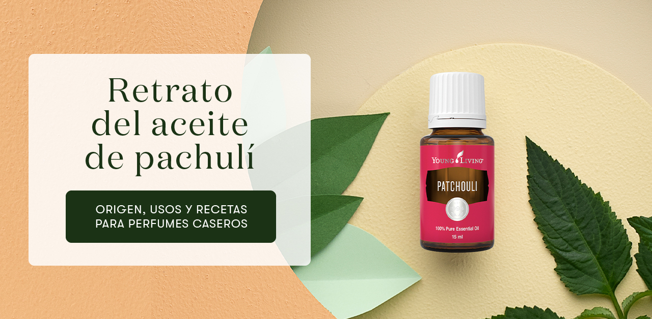 Retrato del aceite de pachulí: origen, usos y recetas para perfumes - Young  Living Blog